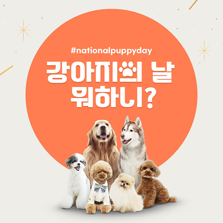 강아지의 날 뭐하니? #nationalpupppyday